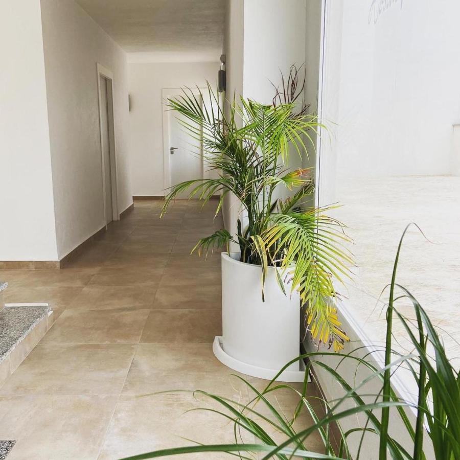 Hostal Pitiusa Ibiza Eksteriør billede